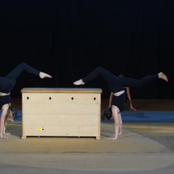 Hanisch Hpmodsc00974