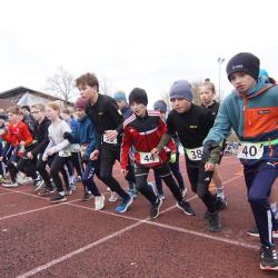 Hp Hanisch Modsc09743 Large