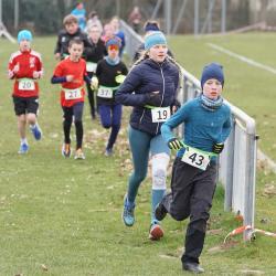 Hp Hanisch Mqdsc09818 Large