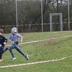 Hp Zabold Img 2975 Large