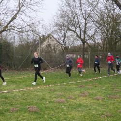 Hp Zabold Img 3140 Large